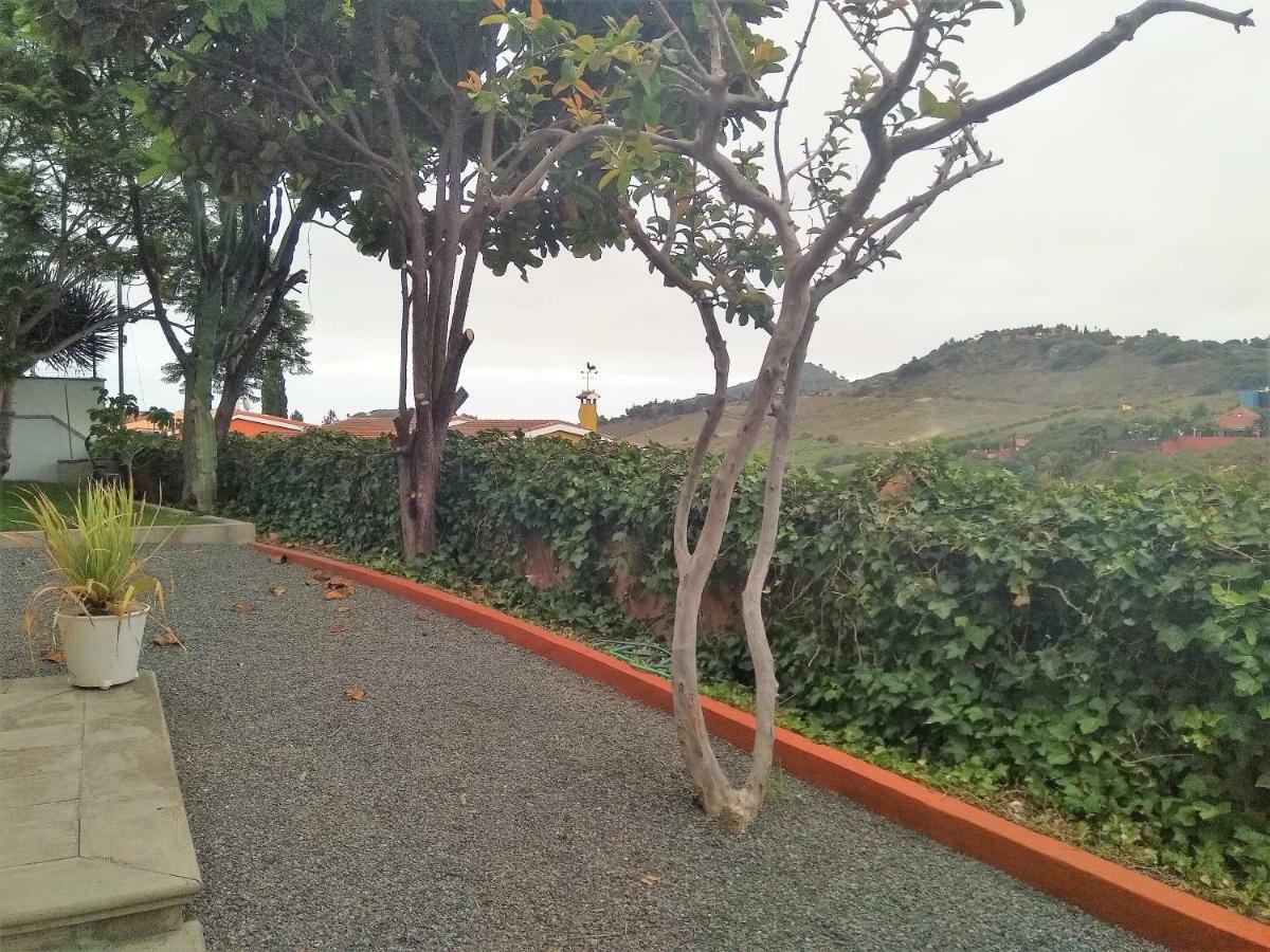 Apartamento Lemmon Tree Santa Brígida Eksteriør billede